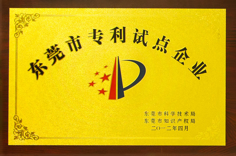 东莞市专利试点企业